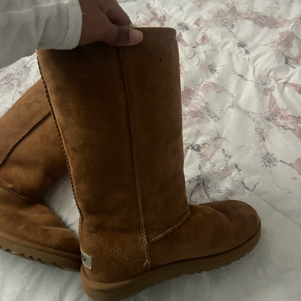 brown tall uggs